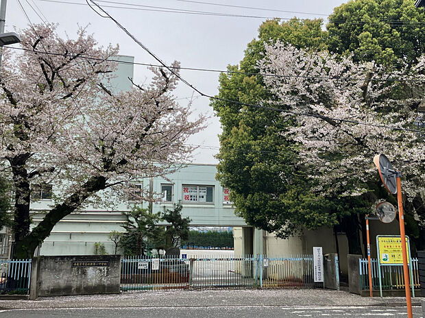 市立田無第一中学校（約1,000m）