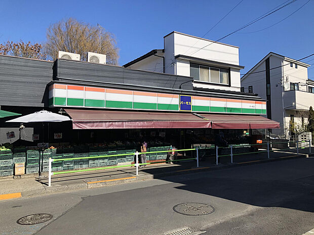 全日食チェーンバーモス（約310m）