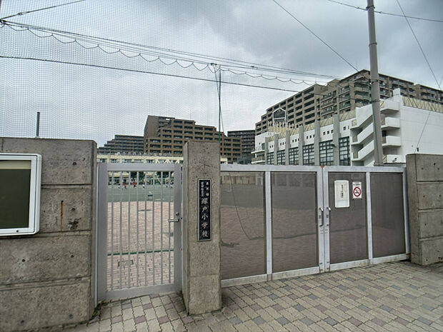 世田谷区立塚戸小学校（約560m）