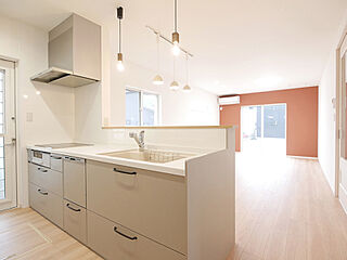 プレミアムタウン小松原D-３号地【新築戸建て】 その他