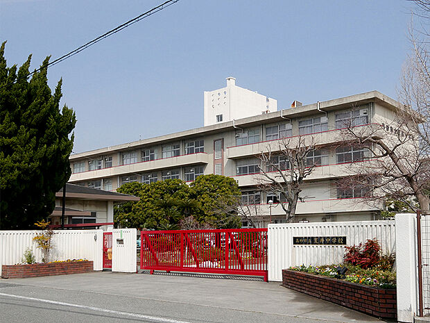 荒井中学校(約400m)