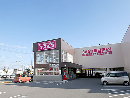 ドラッグコスモス西二見店 約700ｍ(徒歩約9分)
