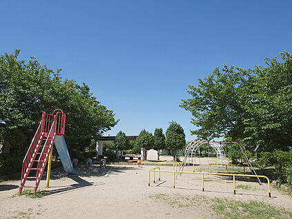 公園 約10ｍ