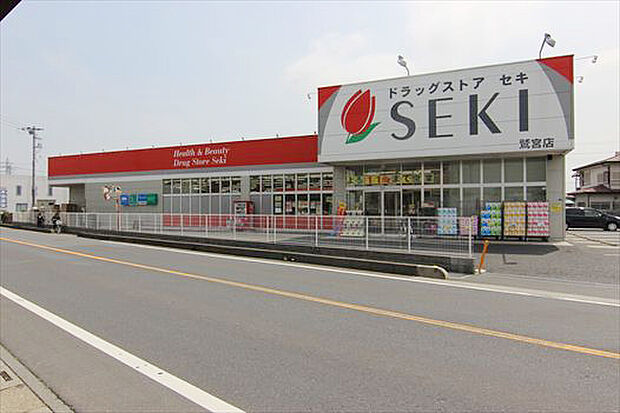 ドラッグストアセキ鷲宮店　
