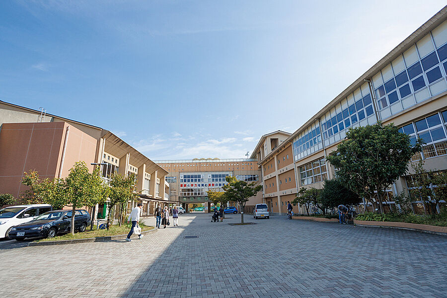 【学校】三郷市立新和小学校（現地より徒歩8分）