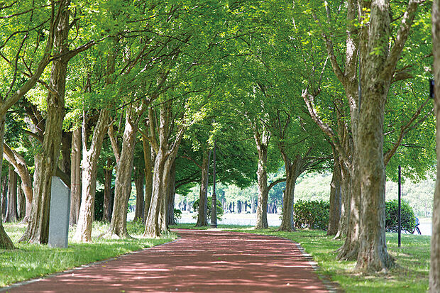 【みさと公園/徒歩3分】