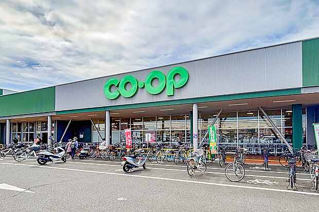 コープ 武蔵藤沢店(約830m)