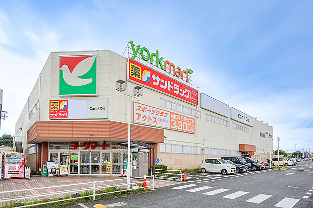 ヨークマート入間店・サンドラッグ下藤沢店(約690m)