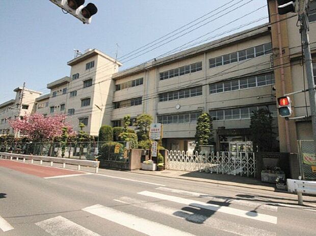市立寺尾小学校(約1,000m)