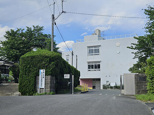 桜台小学校（約293m）