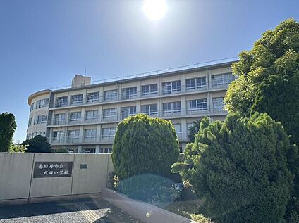 春日井市立丸田小学校 243m(徒歩4分)