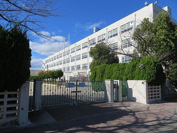 白沢小学校(約700m)