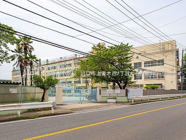 上青木小学校（約400m）