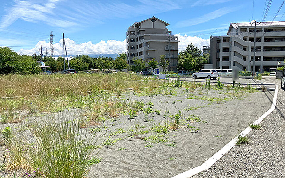 現地写真：更地