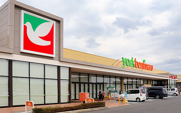ヨークベニマル栃木平柳店(約760m)