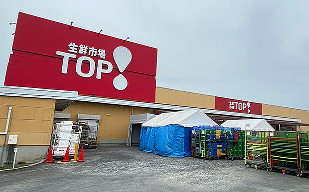 生鮮市場TOP昭島中神店(約480m)