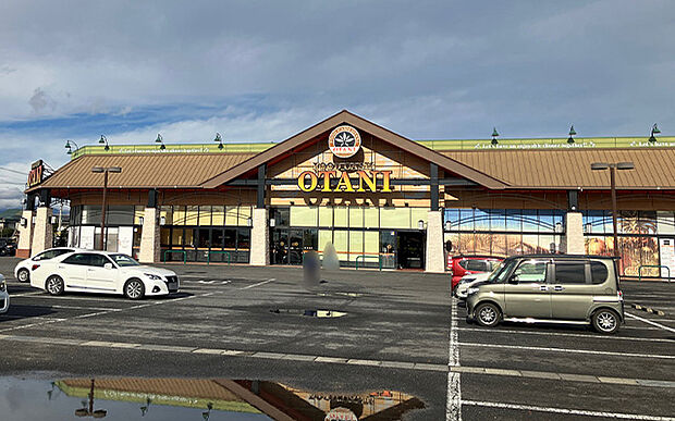 フードオアシスオータニ(約400m)