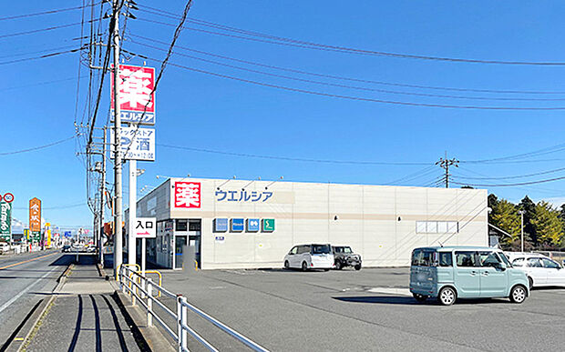 ウエルシア安中郷原店(約2,200m)