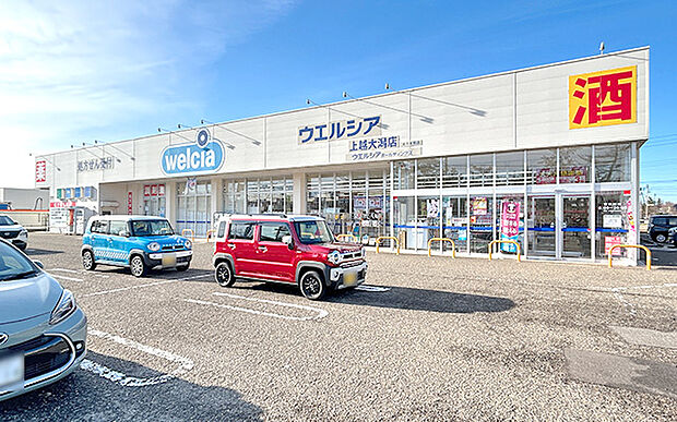ウエルシア上越大潟店(約770m)