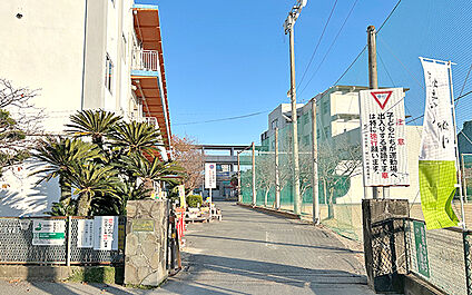 市立柳河小学校 870m