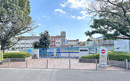 市立坂元台小学校 500m