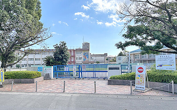 市立坂元台小学校（約500m）