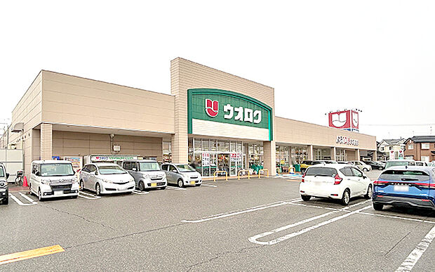 ウオロク 葛塚店（約360m）
