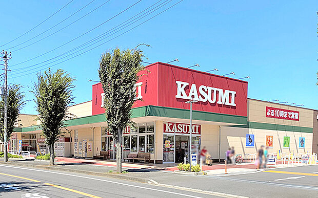 カスミフードスクエア新木駅前店（約290m）