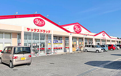 ヤックスドラッグ茂原谷本店 2200m