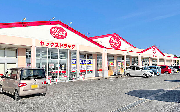 ヤックスドラッグ茂原谷本店（約2,200m）