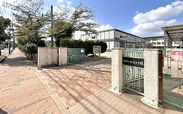 市立白沢小学校(約150m)