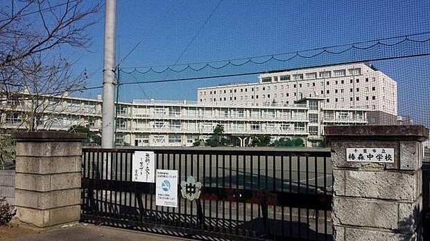 千葉市立椿森中学校(約385m)