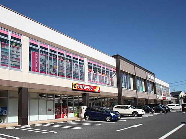 ライズモール綾瀬店(約550m)