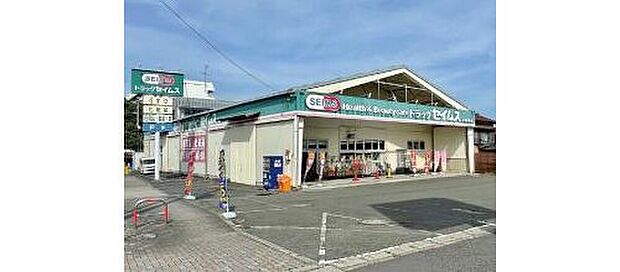 ドラッグセイムス綾瀬中央店(約650m)
