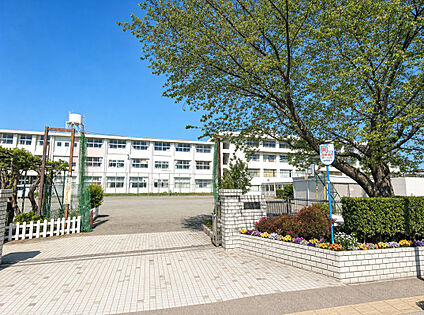 伊勢原小学校 約730m～780m(徒歩10分)