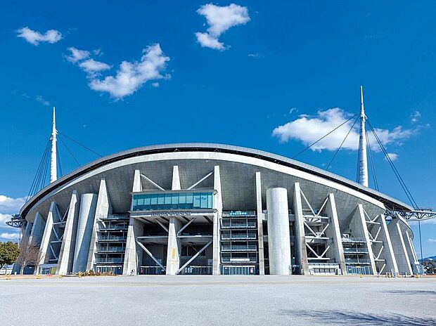 豊田スタジアム (約1m)