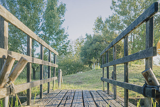 初音川ビオトープ