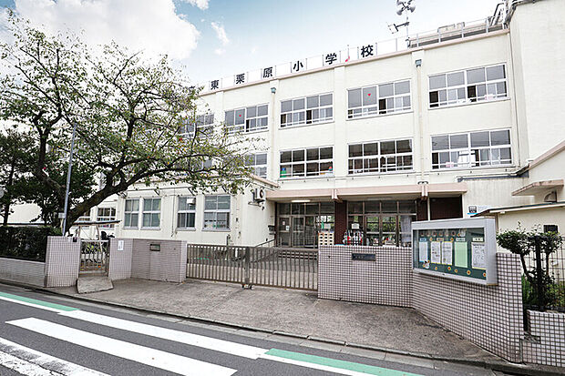 東栗原小学校/徒歩5分