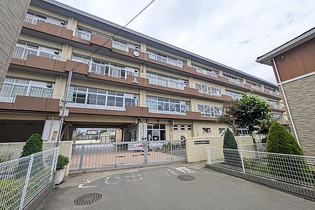 新堀小学校/徒歩10分