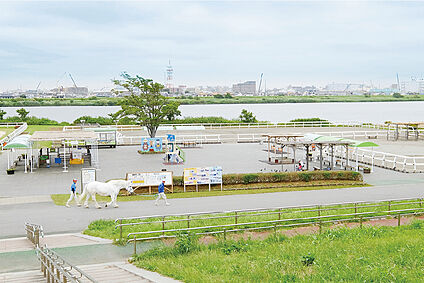 篠崎ポニーランド（現地より徒歩4分） 約310m