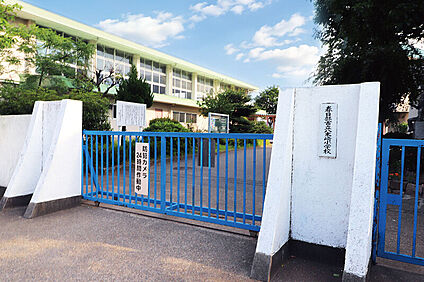 八木崎小学校/徒歩8分 約630m