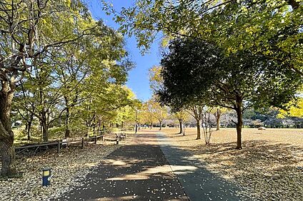 西東京いこいの森公園（現地より徒歩20分） 約1600m