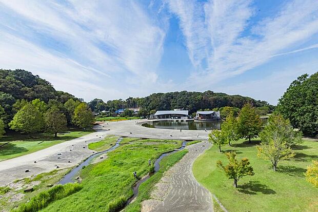 21世紀の森と広場(現地より徒歩19分)