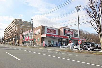 ザ・ダイソーやまや北野台店 1116m