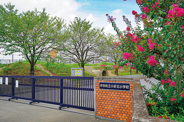 小針北小学校(現地より徒歩6分)