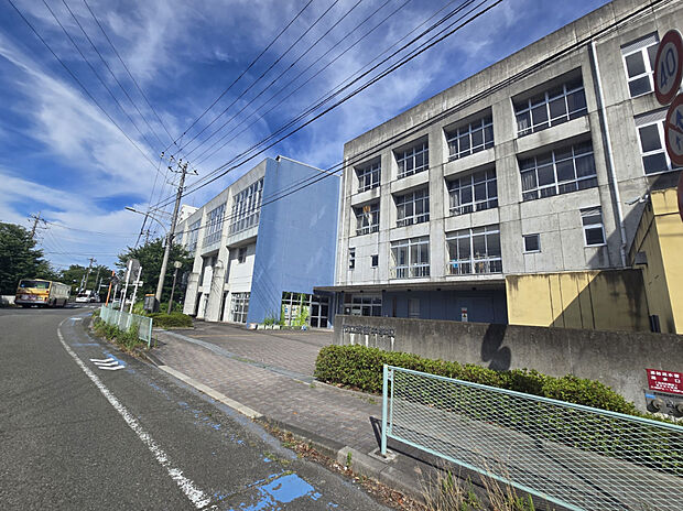 大和市立渋谷中学校（約442m）