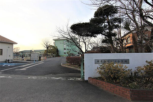 さくら小学校（約294m）