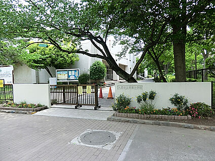 青葉小学校 800m