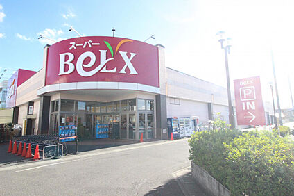 ベルクス南越谷店 1700m