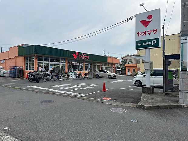 ヤオマサ渋沢店（約736m）